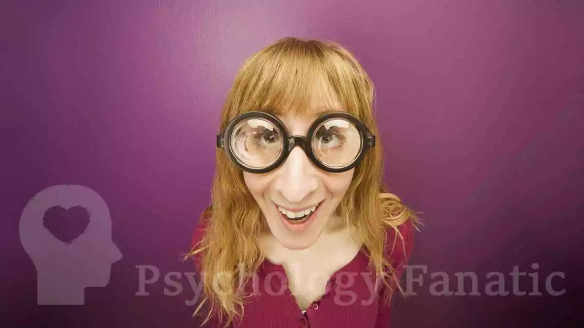 <p>amusing in an odd, whimsical, or dry way </p>