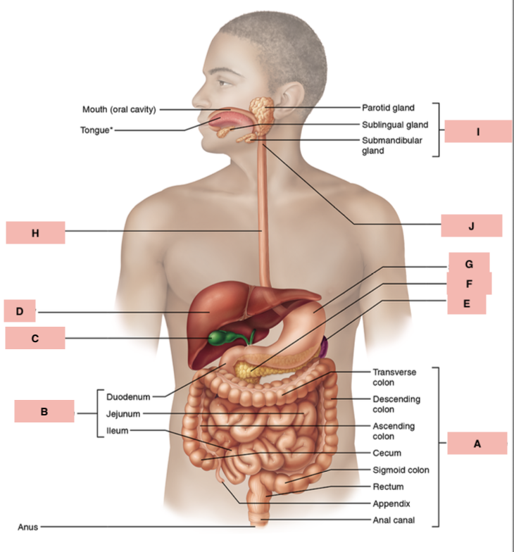 <p>What is I?</p>