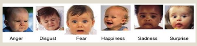 <p>describe emotion understanding: (precursors of ToM)</p>