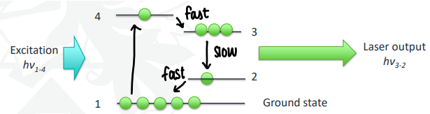 <p>The molecules are excited to level 4, undergo fast relaxation to level 3 and then slow relaxation to level 2. This causes the population inversion to occur in level 3. Fast relaxation then also occurs from level 2 to 1 to allow accumulation in 3.</p>