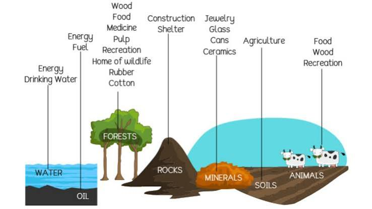 <p>non-renewable natural resources</p>