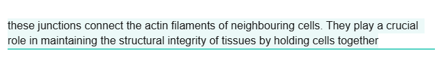 <p>connect the actin filaments of neighbouring cells</p>
