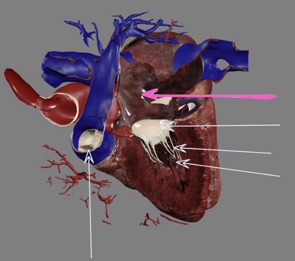 <p>What’s the highlighted area?</p>