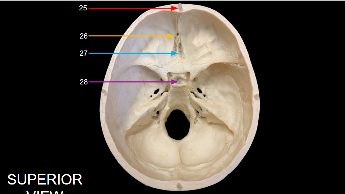 <p>WHAT IS 25 CALLED?</p>