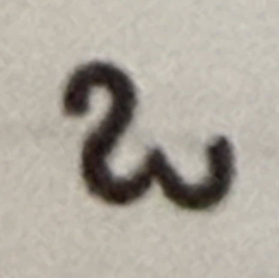 term image