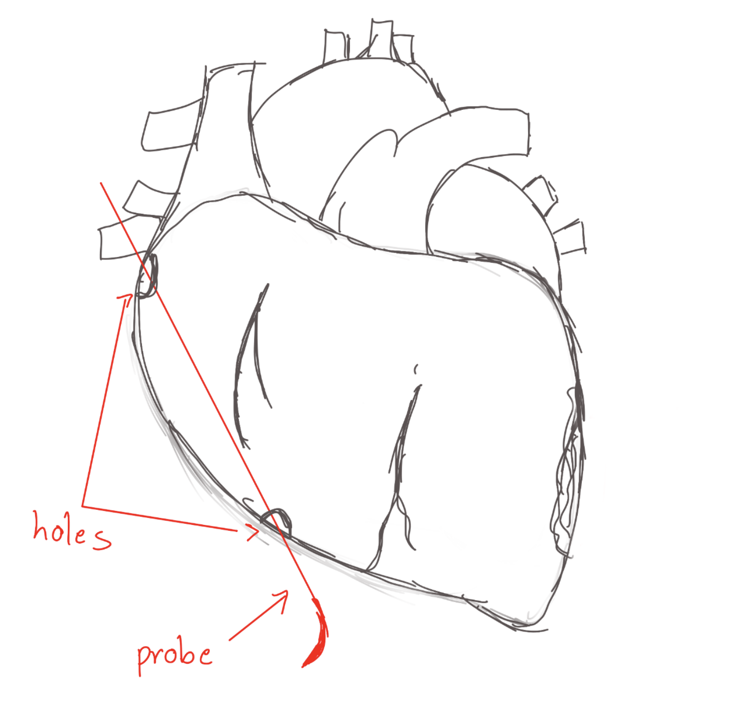 <p>space. Basically the name. DH</p>