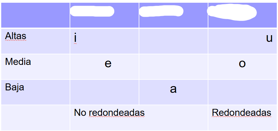 <p>lugar de vocales</p>