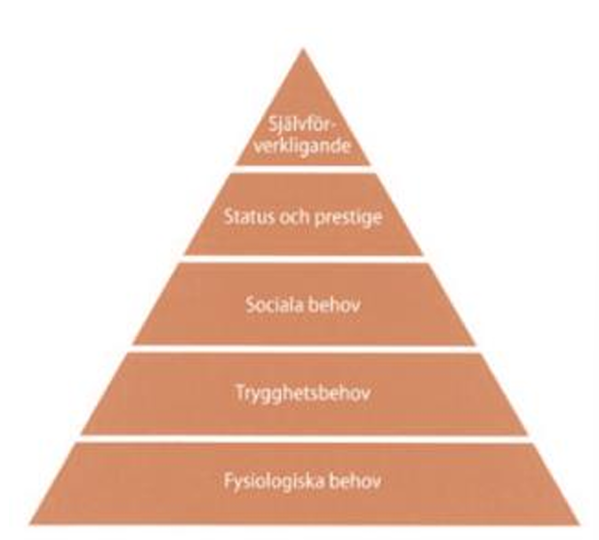 <p>Maslows teori beskriver hur människors behov är hierarkiskt ordnade, från grundläggande överlevnad till personlig utveckling. Enligt modellen måste behoven på de lägre nivåerna vara tillfredsställda innan individen kan motiveras av behov på högre nivåer.</p><ol type="1"><li><p><span><strong>Fysiologiska behov</strong> är de mest basala behoven som kroppen kräver för att överleva, exempelvis tillgång till mat, vatten, sömn och syre. I arbetslivet kan det exempelvis vara möjlighet till lunchraster, ergonomisk arbetsmiljö, och tillgång till toalett och dricksvatten.</span></p></li><li><p><span><strong>Trygghetsbehov</strong> handlar om att känna sig säker och skyddad, både fysiskt och ekonomiskt. På jobbet kan detta innebära en fast anställning, tydliga arbetsvillkor och en trygg arbetsmiljö utan hot eller fara.</span></p></li><li><p><span><strong>Sociala behov</strong> syftar på behovet av gemenskap, vänskap och tillhörighet. I arbetslivet kan det uttryckas genom samarbete, teamkänsla, sociala aktiviteter och ett gott kollegialt klimat.</span></p></li><li><p><span><strong>Självkänslobehov</strong> handlar om att känna sig respekterad och uppskattad, både av sig själv och andra. På arbetsplatsen kan detta vara att få erkännande för sitt arbete, få ansvar eller få möjligheten att påverka.</span></p></li><li><p><span><strong>Självförverkligande</strong> är behovet av att nå sin fulla potential och utvecklas som människa. I arbetslivet kan det handla om personlig utveckling, kreativt arbete, utbildning eller att uppnå långsiktiga karriärmål.</span></p></li></ol><p></p>