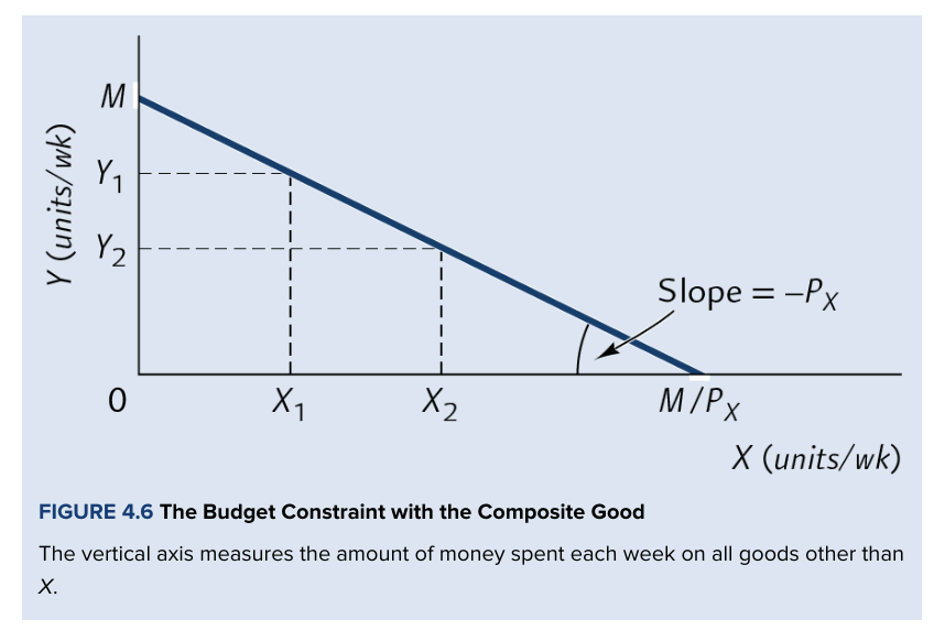 <p>What is the slope of the composite-good budget line?</p>