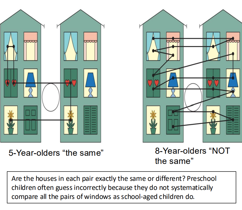 <p>House Task: Planful Attentional Strategies</p>