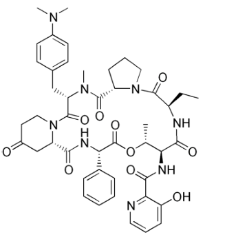 <p>[STREPTOGRAMINS]</p><p>a. Pristinamycin</p><p>b. Quinupristin</p><p>c. Daflopristin</p><p>d. Linezolid</p>