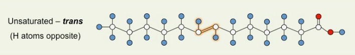 <p>Unsaturated fats that contain a carbon-carbon double bond with hydrogen atoms on opposite sides of the chain</p><ul><li><p>Artificially made; pack tight</p></li><li><p>Foods with trans fat increase LDL cholesterol in humans (bad for heart)</p></li><li><p>Not bent</p></li></ul><p></p>