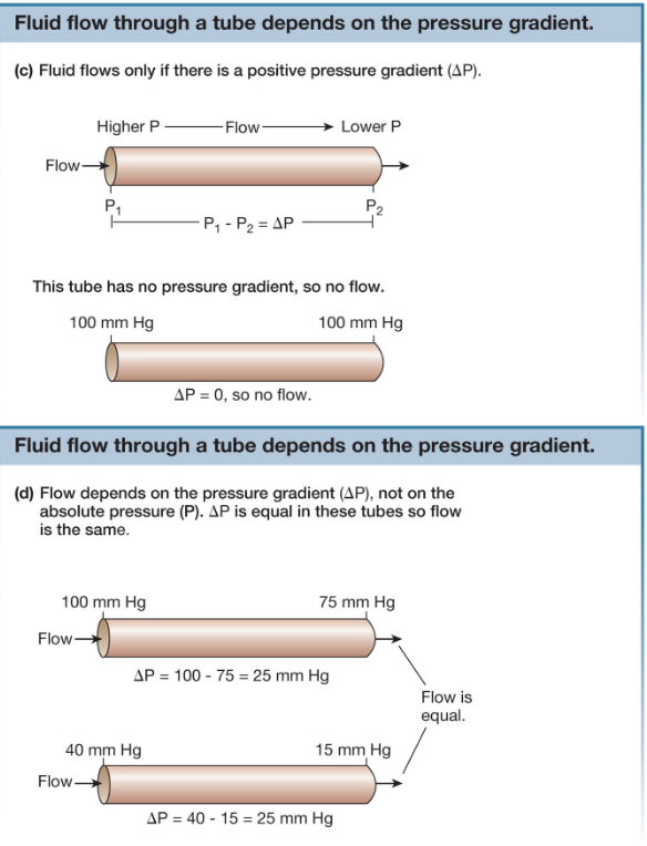 <ul><li><p>Fluid moves from high to low pressure</p></li><li><p>Flow is dependent on DIFFERENCES in pressure</p></li><li><p>pressure and flow are directly proportional</p></li></ul><p></p>