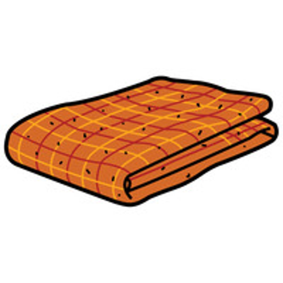 <p>the blanket</p>
