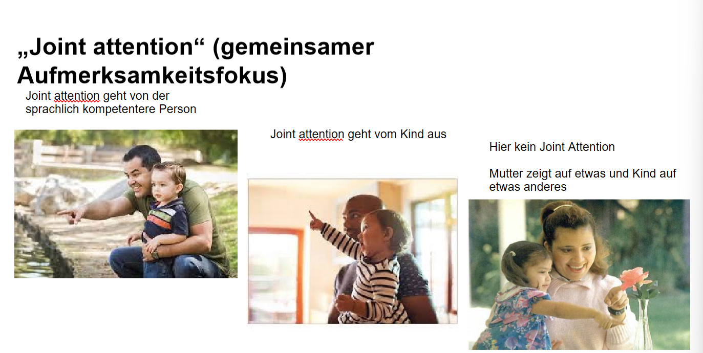 <p>Man unterscheidet zwischen zwei Varianten:</p><ul><li><p><span>Joint attention geht von der sprachlich kompetentere Person</span></p></li><li><p><span>Joint attention geht vom Kind aus</span></p></li></ul><p><span><em>Siehe Abbild</em></span></p>