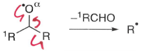 <p>Radicals on oxygen are unstable, they fragment to give a more stable radical.</p>