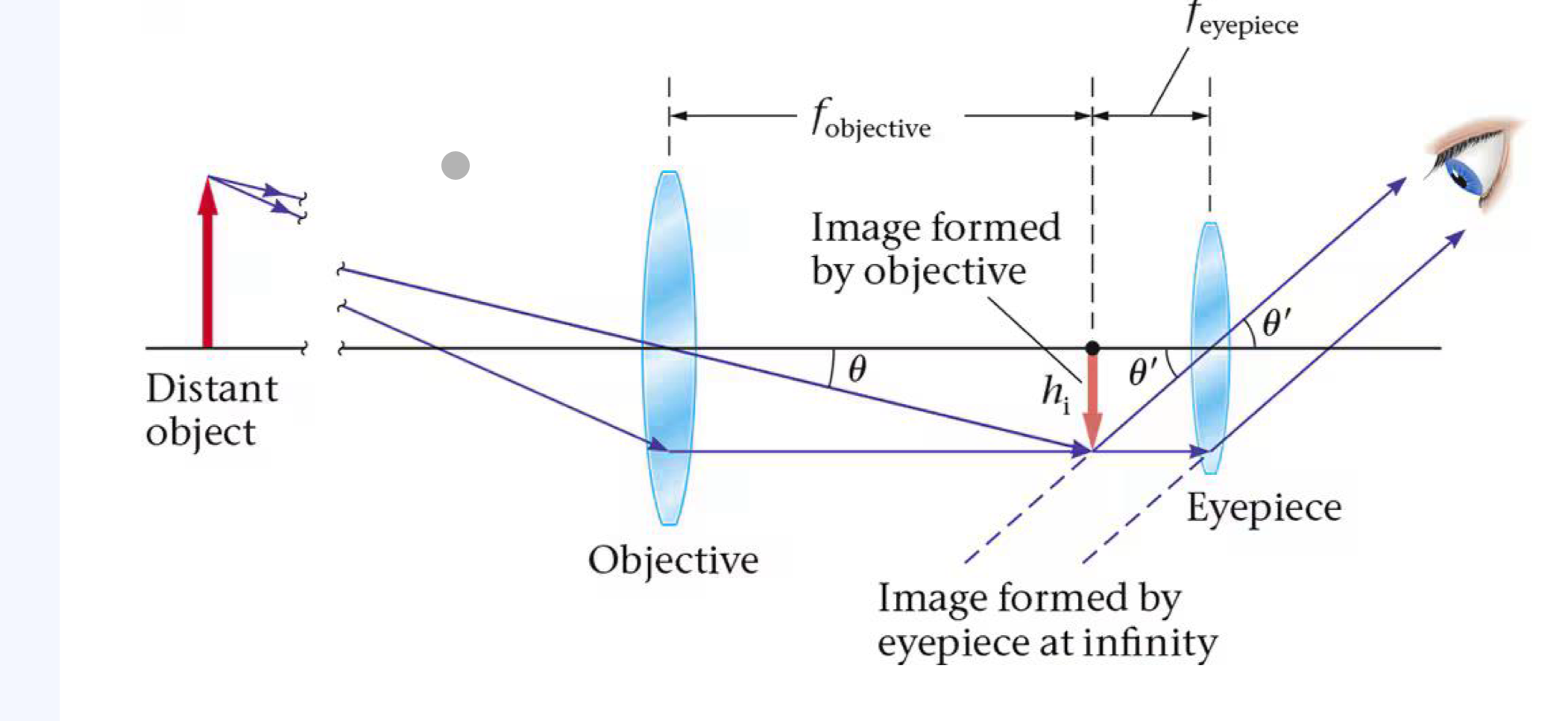 <p>the objective lens is placed at the end of the telescope facing the sky. it takes the parallel light coming from the star and focuses it to form an image</p>