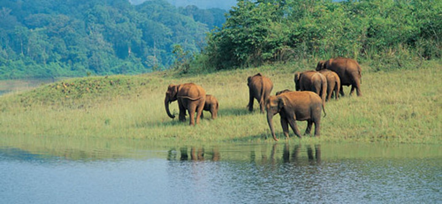 <p>TRANSLATION: проявлять естественное поведение</p><p>DEFINITION: to show actions that are typical for a species in the wild</p><p>EXAMPLE: Elephants need enough space to ........................ like bathing in mud. Слонам нужно достаточно места, чтобы ПРОЯВЛЯТЬ ЕСТЕСТВЕННОЕ ПОВЕДЕНИЕ, например, купаться в грязи.</p>