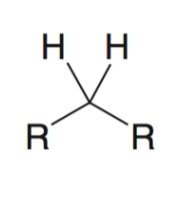 <p>alkane</p>