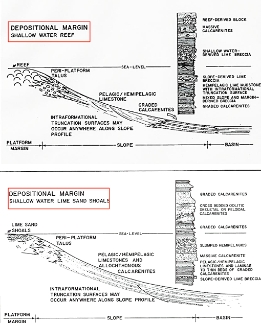 <p>shallow water reef/ shallow water lime sand shoals</p>