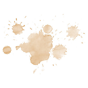 <p>stain</p>