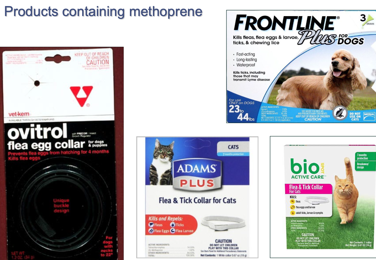 <p>Methroprene is NOT</p>