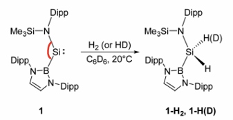 <p>The dihydrogen bonds to the Si cis.</p><ul><li><p>The wider bond angles decreases the singlet-triplet gap.</p></li><li><p>Carbenes have a smaller singlet-triplet gap than heavier main group elements, therefore can activate dihydrogen.</p></li></ul><p></p>