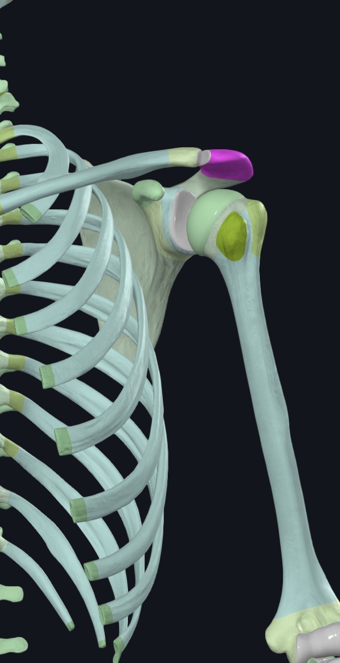 <p>what is this?</p>