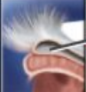 <p></p>
