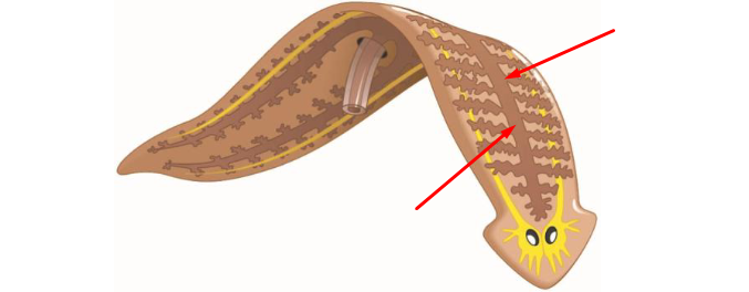 <p>what? define?</p>