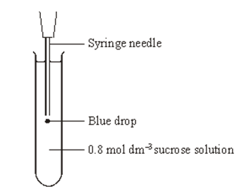 <p>Six cylinders of a standard size were cut from a single large potato. One cylinder was placed in distilled water and the others were placed in sucrose solutions of different concentrations. The length of each cylinder was measured every 5 minutes for the next 50 minutes.</p><p><span style="line-height: 115%;">After 45 minutes the potato cylinder in the 0.8 mol dm<sup>–3</sup> solution was removed and blue dye added to this solution. Some of this blue-stained solution was drawn into a syringe. A drop was then released, slowly, halfway down a test tube of fresh 0.8 mol dm<sup>–3</sup> sucrose solution as shown in the diagram. The blue drop quickly moved to the surface of the liquid in the test tube. </span></p><p><span style="font-family: Arial, sans-serif; line-height: 115%;">A sucrose solution of concentration 0.3 mol dm<sup>–3</sup> has a water potential which is equivalent to that of the potato cells. Describe and explain what would happen to the blue drop from this solution. (2) </span></p>