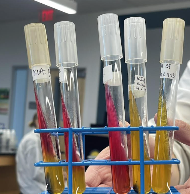 <p>What is the name of the test, purpose, application,it’s media, inoculation guide, incubation, theory, and results including what is H2S production?</p>