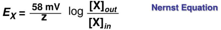 <p> Ex = 58 mv log ([x]out / [x]in).</p>
