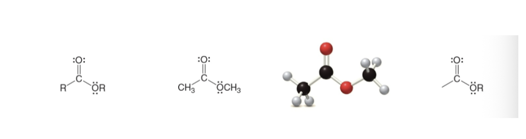 <p>Type of Compound → General Structure → Example → 3-D Structure → Functional Group</p>
