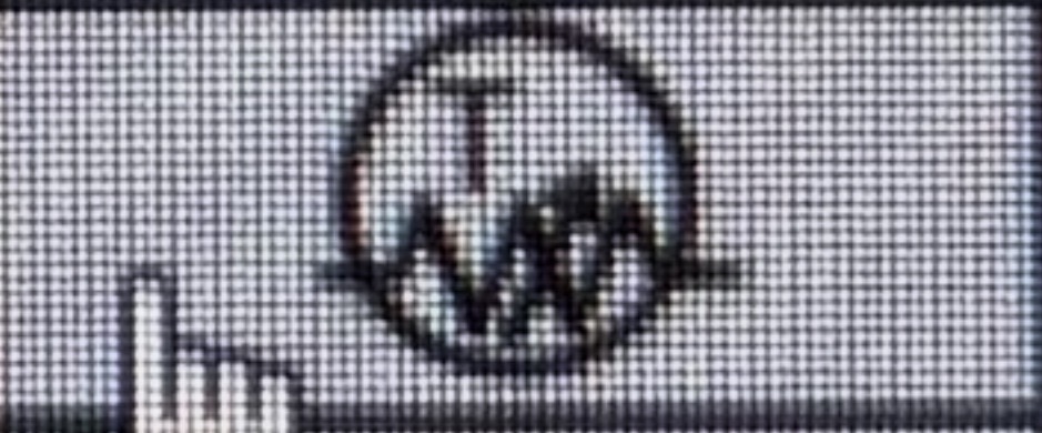 term image