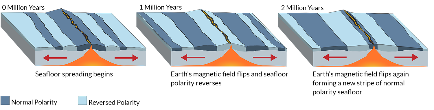 <ul><li><p>Wegener’s theory didn’t explain how the plates moved but Hess’s theory did through the idea of sea-floor spreading</p></li><li><p>The discovery of the mid-Atlantic Ridge suggested the sea floor was spreading </p></li><li><p>Evidence for this came from <strong>Palaeomagnetism</strong>, where symmetrical magnetic stripes were found on either side of mid-ocean ridges aligned with the North and South Poles. </p></li><li><p>The rocks are formed when iron particles in lava erupt on the ocean floor and align with the Earth’s magnetic field → the rocks then solidify making the rock</p></li><li><p>The Earth’s polarity reverses every 400,000 years making the striped pattern</p></li><li><p>These magnetic patterns show that <strong>new crust forms at the ridge and moves away over time</strong>.</p></li></ul><p></p>