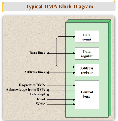 <p>Data Count → address register</p><p>Data Register ←→ data lines</p><p>Address Register → data count</p><p>Control Logic</p><p>→ Request to DMA</p><p>← Acknowledge from DMA</p><p>← Interrupt</p><p>→ Read</p><p>→ Write</p>