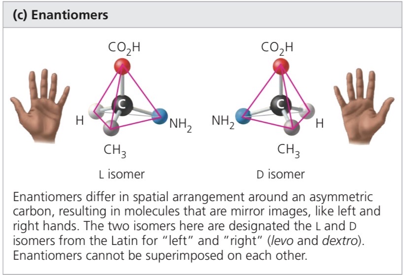<p>Isomers that are mirror images of each other, due to an asymmetric carbon</p>