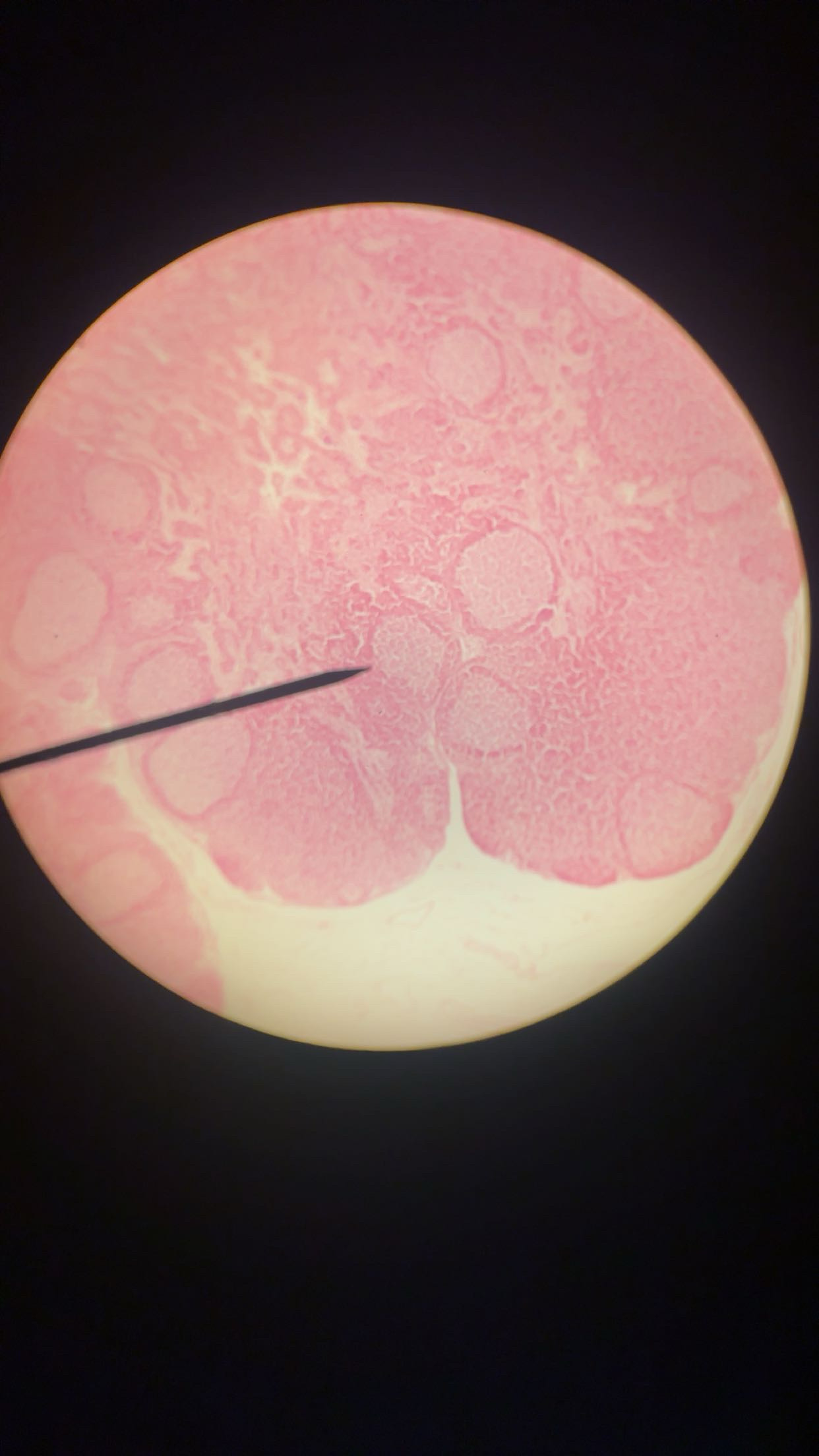 <p>what is this </p>