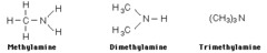 <p>used to represent organic compounds, similar to lewis diagrams, but use a dash in place of a colon to represent a bond.</p>