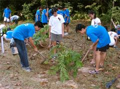 <p>planting trees to replace lost forestland</p>