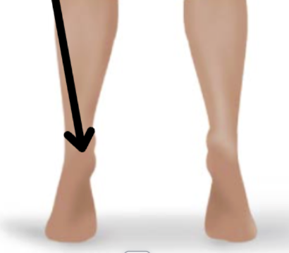 <p>Medical term, region, anteiror/posterior?</p>