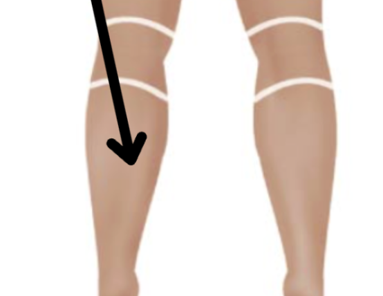 <p>Medical term, region, anteiror/posterior?</p>