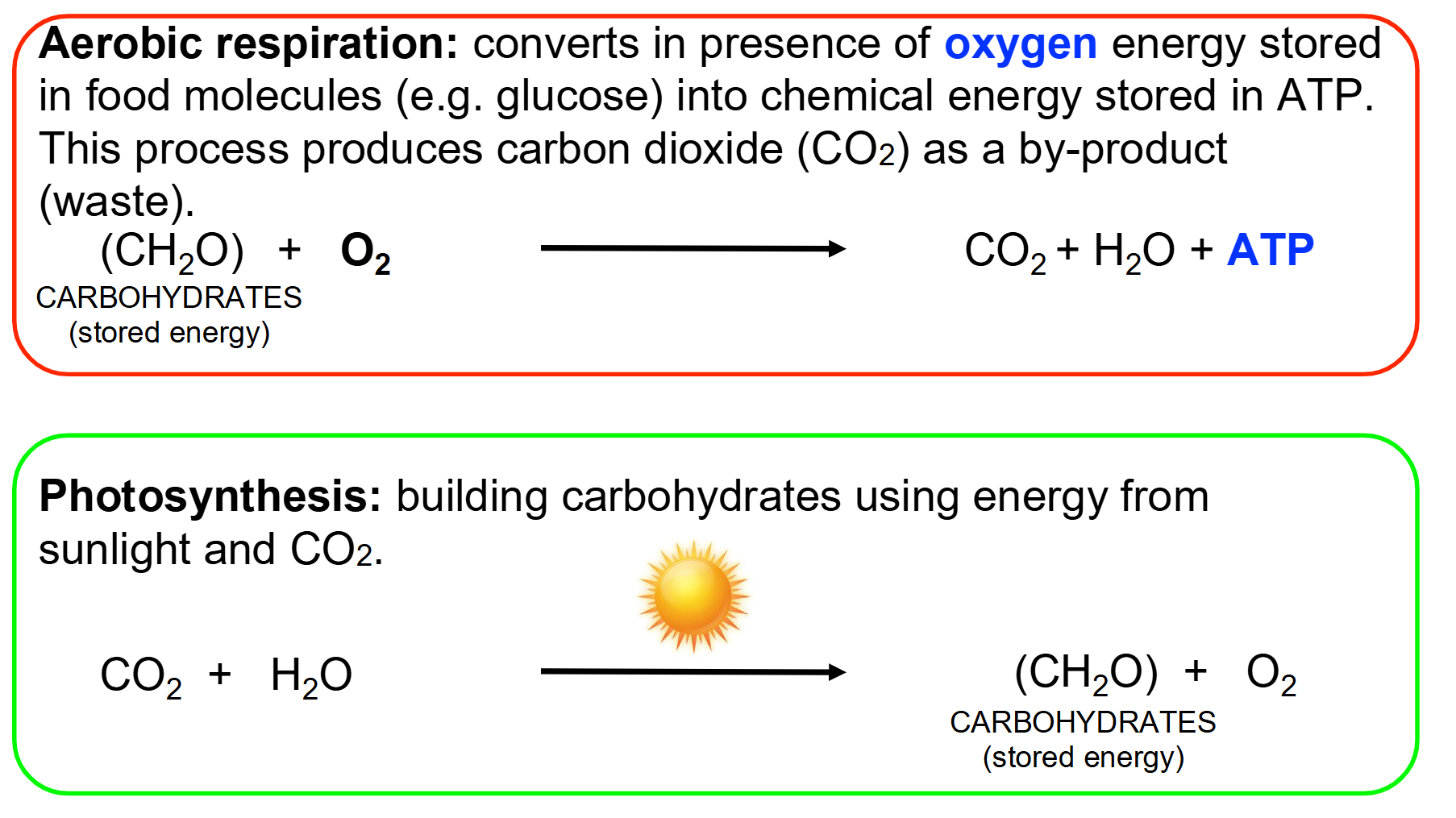 <ul><li><p>Aerobic Respiration: </p><ul><li><p><span>Converts in presence of oxygen energy stored in food molecules (e.g. glucose) into chemical energy stored in ATP. </span></p></li><li><p><span>This process produces carbon dioxide (CO2) as a by-product</span></p></li><li><p><span>Occurs in the Mitochondria</span></p></li></ul></li><li><p>Photosynthesis:</p><ul><li><p><span>Building carbohydrates using energy from sunlight and CO2</span></p></li></ul></li></ul><p></p>