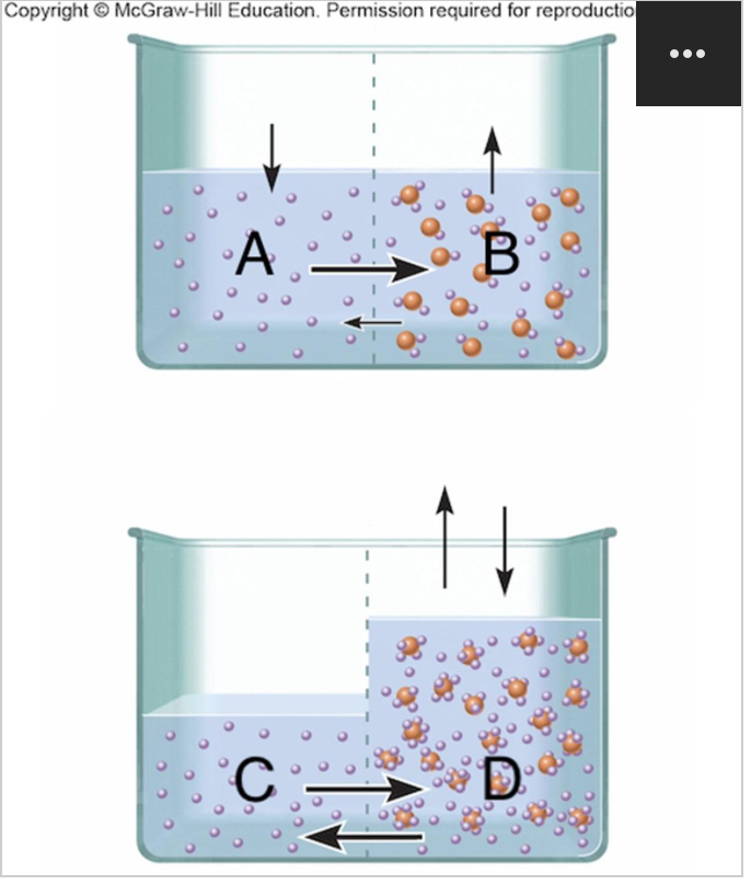 <p><span>Which solutions are in equilibrium?</span></p>