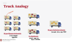 <p>Truck Analogy for Hyperlipoproteinemia, Dyslipidemia, and Hypercholesterolemia (Pic)</p>