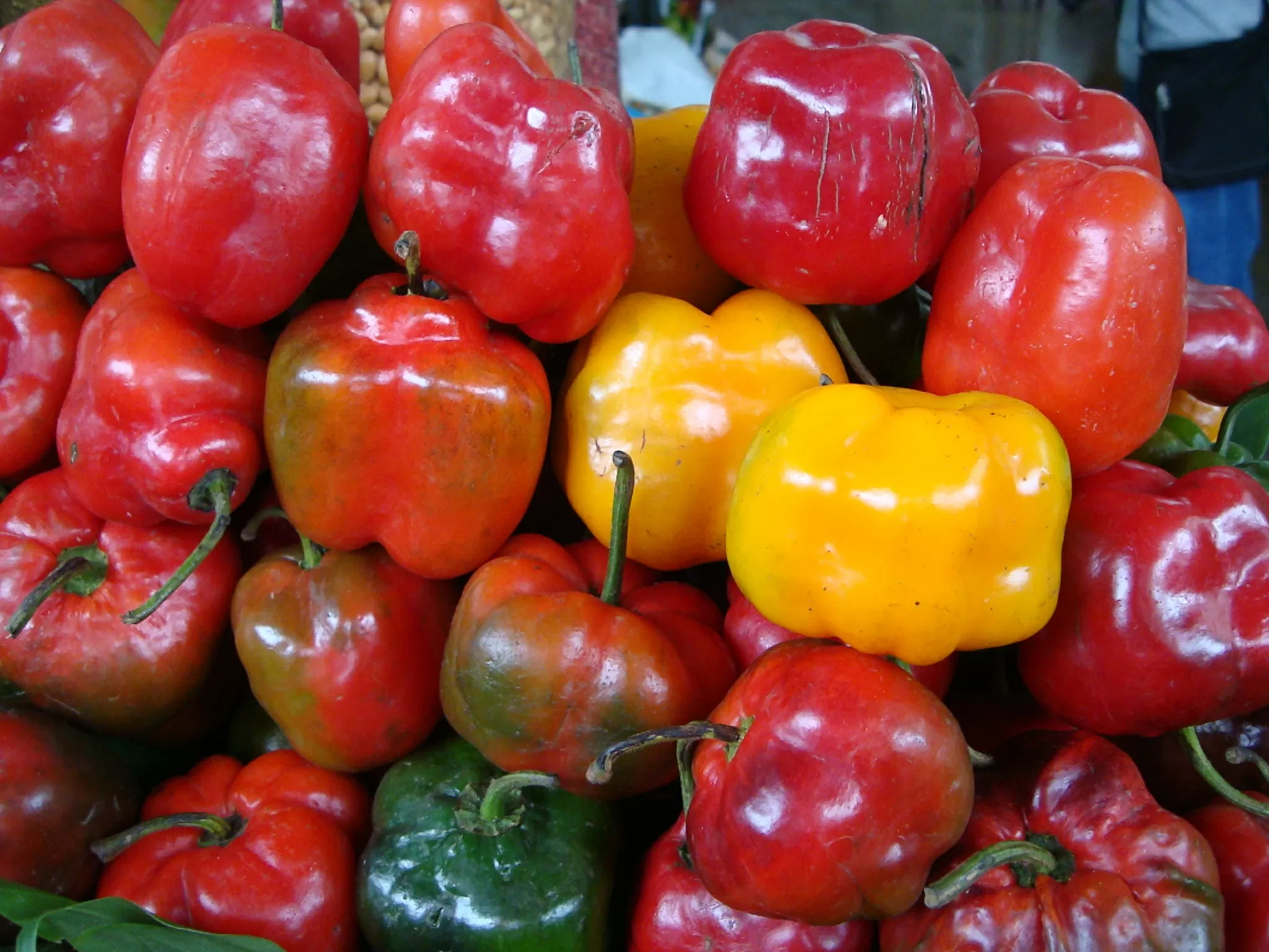 <p>ROCOTO</p>