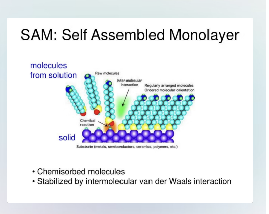 <p>Head Group: Terminal functional polar group that determines surface properties. </p><p>Alkyl Chain: Long hydrocarbon chain providing structural stability. </p><p>Attachment Group: Chemical group that binds to the substrate surface (e.g. Silanes react with amine or hydroxyl groups).</p><p>Preferred Substrates Exothermic reaction with the substrate. Materials with <strong>hydroxyl </strong>groups are preferred (.e.g. glass, metal oxide).</p><p>Self-assembled monolayers form a hierarchical structure where each component plays a crucial role in the overall functionality. </p><p>One surface modification technique used to control protein adsorption is the use of self assembled monolayers (SAMs). SAMs are formed when specially designed amphiphilic molecules spontaneously organize into a monolayer on a biomaterial surface. <strong>Each molecule contains an attachment group that forms a strong, covalent bond with substrate</strong>, a long hydrophobic (alkyl) chain, and a functional (polar) head group. <strong>The mechanism of SAM formation is driven by a strong, exothermic reaction between the attachment group and the surface, which anchors the molecules in place</strong>. As more molecules assemble,<strong> van der Waals interactions between the alkyl chains promote tight packing</strong>, creating a stable, highly ordered monolayer. SAMs control protein adsorption primarily through <strong>their functional head groups. By tailoring these groups</strong>, the surface can be made more hydrophilic or chemically inert, which reduces proteins binding, or more hydrophobic, which can increase protein adsorption. Additionally, the formation of a smooth, uniform layer minimizes surface roughness, which can further decrease protein adsorption.</p>