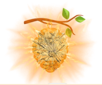 <p>Cold War Event #5 Five is a hive; the hive is exploding.</p>