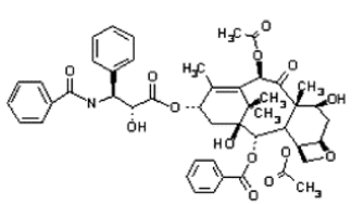 <p>[CELL CYCLE SPECIFIC AGENTS]</p><p>a. Topotecan</p><p>b. Irinotecan</p><p>c. Predinisone</p><p>d. Hydroxyurea</p><p>e. Bleomycin</p><p>f. Etoposide</p><p>g. Teniposide </p><p>h. Paclitaxel</p><p>i. Docetaxel</p><p>j. Vincristine and Vinblastine</p><p>k. Vinorelbine</p>
